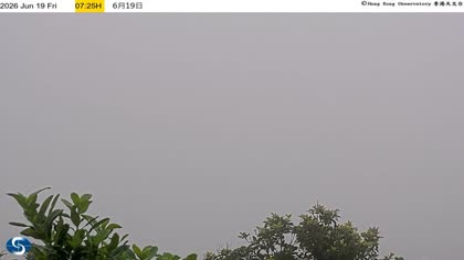 2026-06-19