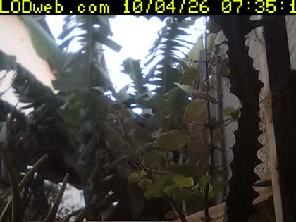 2026-10-04