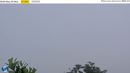 2026-05-25