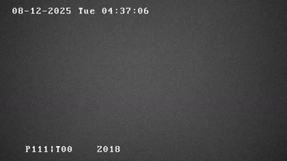 2025-08-12
