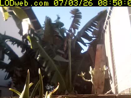 2026-07-03