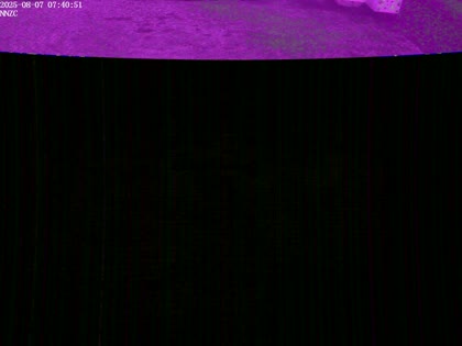 2025-08-07