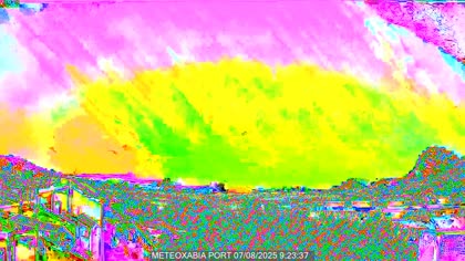 2025-08-07