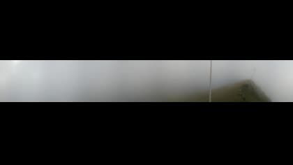 2025-08-17
