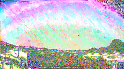2025-08-10