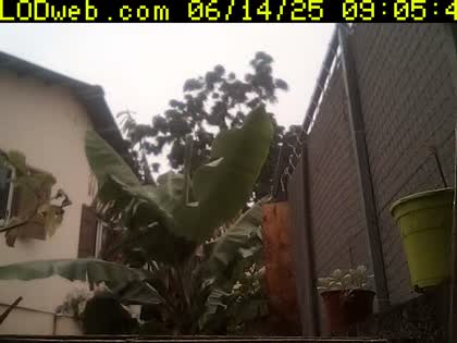 2025-06-14