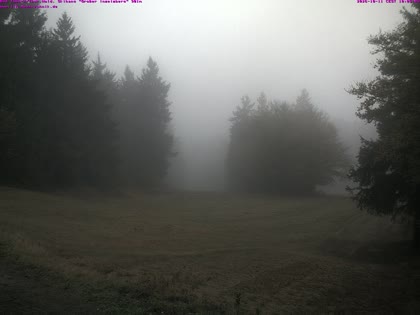 2026-10-11