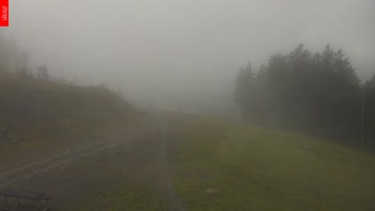 2025-10-11