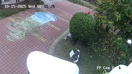 2025-10-15