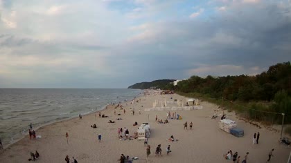 2026-08-15