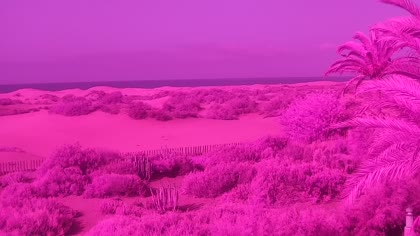 2026-05-27