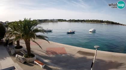 2026-10-15