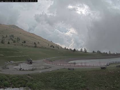 2025-06-08