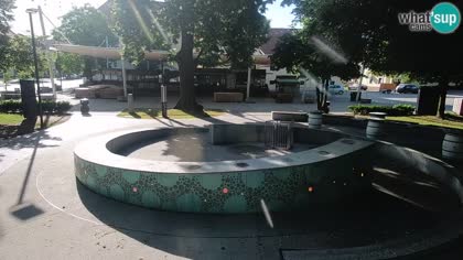 2026-06-14
