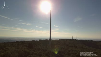 2026-07-10