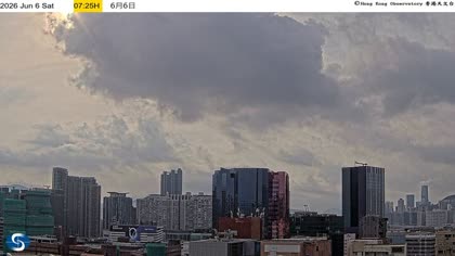 2026-06-06