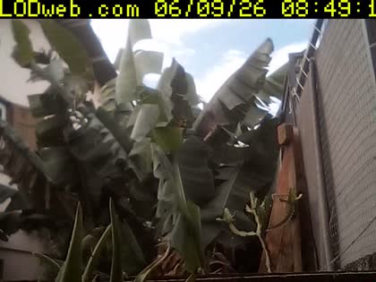 2026-06-09