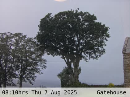 2025-08-07