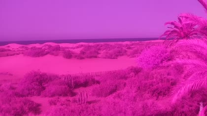 2026-07-15