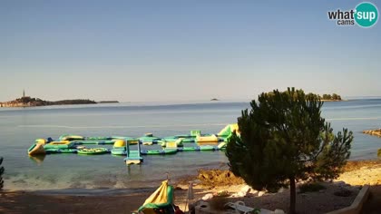 2026-07-22
