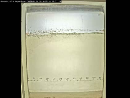 2025-07-20