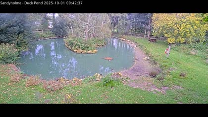 2025-10-01