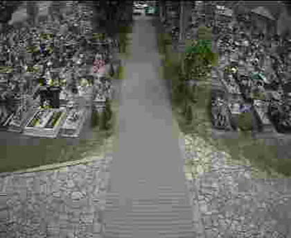 2025-05-15