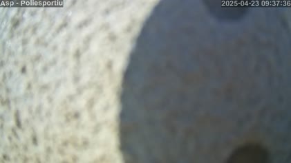 2025-04-23