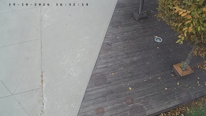 2026-10-19