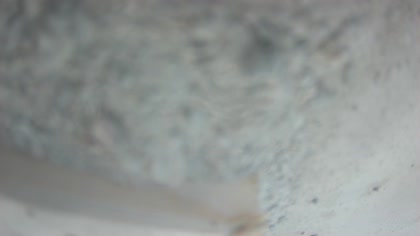 2025-09-05