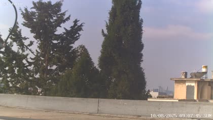2025-08-10