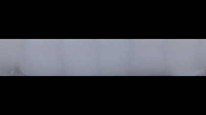 2025-08-21