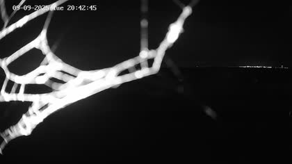 2025-09-10
