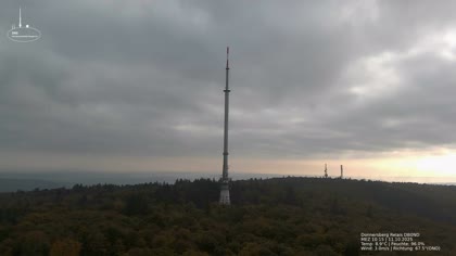 2025-10-11