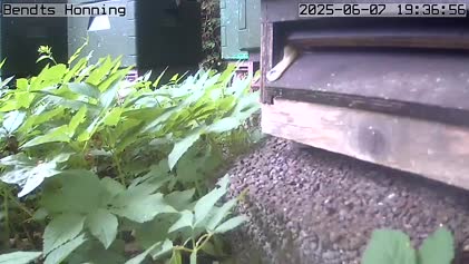 2025-06-09