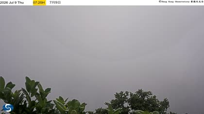 2026-07-09