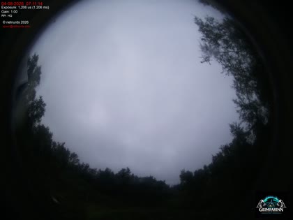 2026-08-04