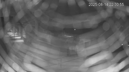 2025-08-15