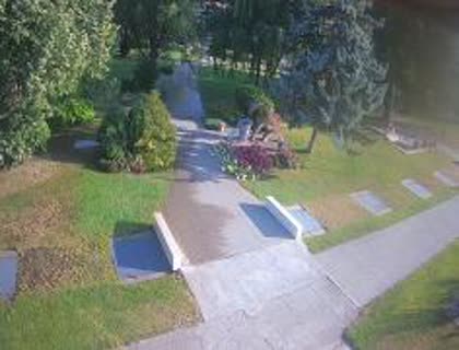 2025-06-19
