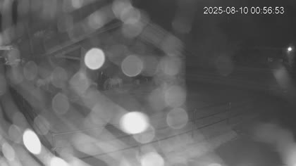 2025-08-10