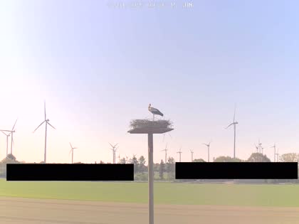 2025-04-27