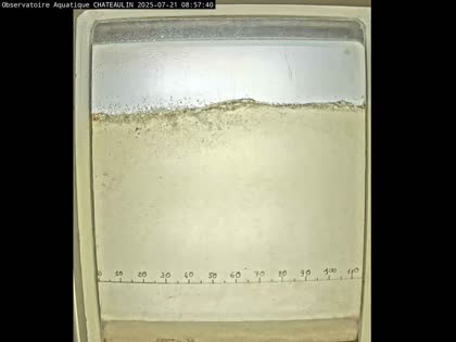 2025-07-21