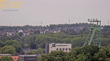 2025-08-08