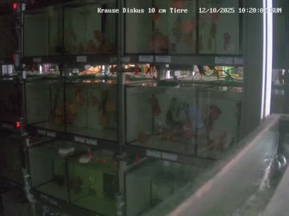 2025-10-12