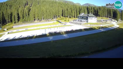2026-10-07