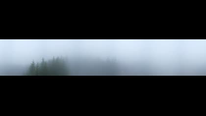 2026-06-10