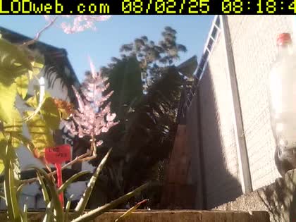 2025-08-02