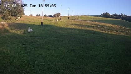 2025-08-12