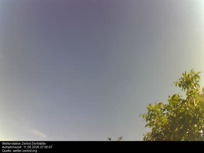 2026-06-11