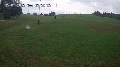 2025-07-15